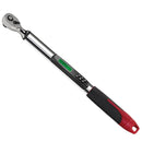 ARM317-4A Digital Torque Wrench