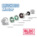 G12 Series 12V Li-ion Cordless 3/8” 65 ft-lbs. Torque Brushless Ratchet Wrench Tool Kit Image 4 - Durofix Tools